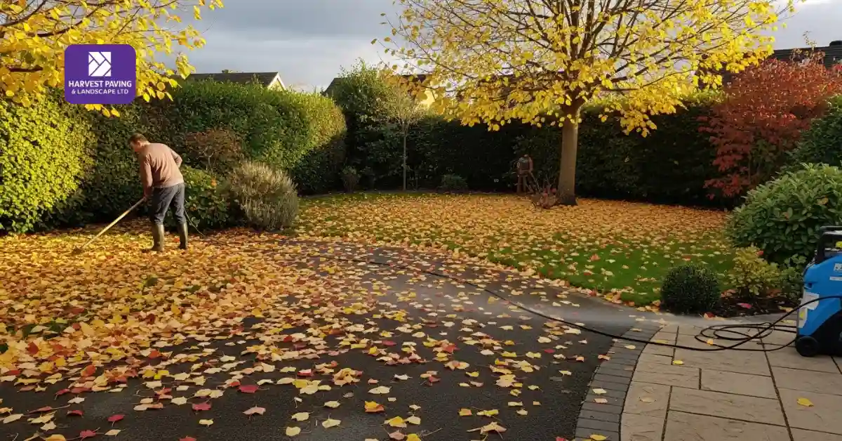 Colchester climate in autumn affecting outdoor cleaning and landscaping work